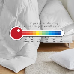 Bed Linings Sale -Bed Linings Sale 1 dae9ca6e b97d 4c55 b1c1 0c55b2f4f35f